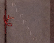Load image into Gallery viewer, Souvenir photos of Buffalo NY