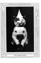 Load image into Gallery viewer, Kittens and Cats by Eulalie Osgood Grover