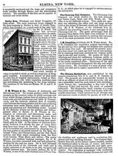 Load image into Gallery viewer, A Glance at Elmira, New York 1891