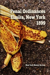 Elmira, New York laws and ordinances