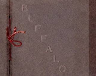 Souvenir photos of Buffalo NY