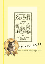 Load image into Gallery viewer, Cats and Kittens Rags Rotograph Cat Eulalia Osgood Grover